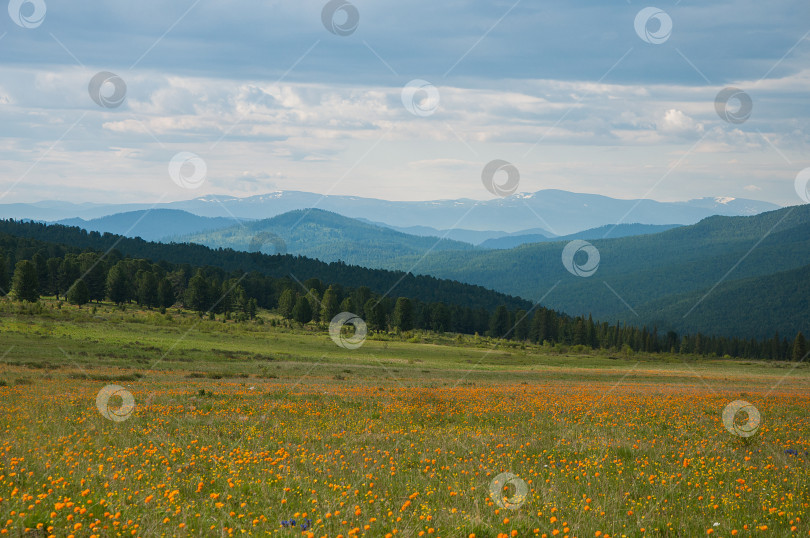 Скачать семинский перевал фотосток Ozero