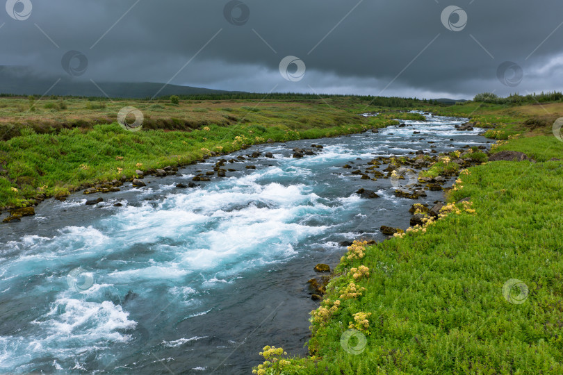 Скачать Летний исландский пейзаж с бурлящей рекой фотосток Ozero