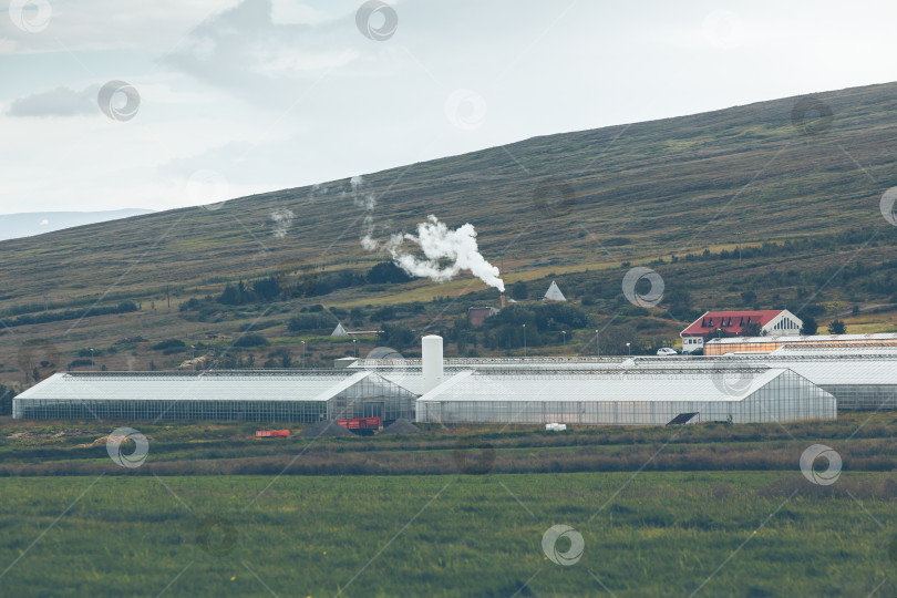 Скачать Геотермальные теплицы в Исландии фотосток Ozero