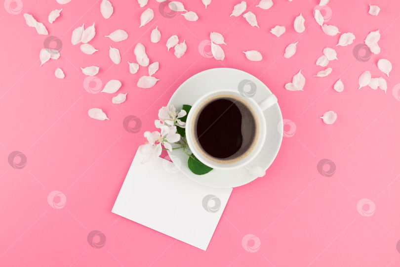 Скачать Плоская композиция из кофе, макета письма и белых лепестков фотосток Ozero