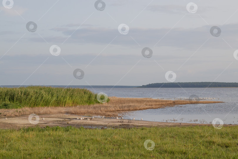 Скачать Вид на целебное соленое озеро Медвежье фотосток Ozero