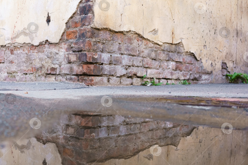 Скачать Кирпичная стена с трещиной и отражающейся в ней лужей воды фотосток Ozero