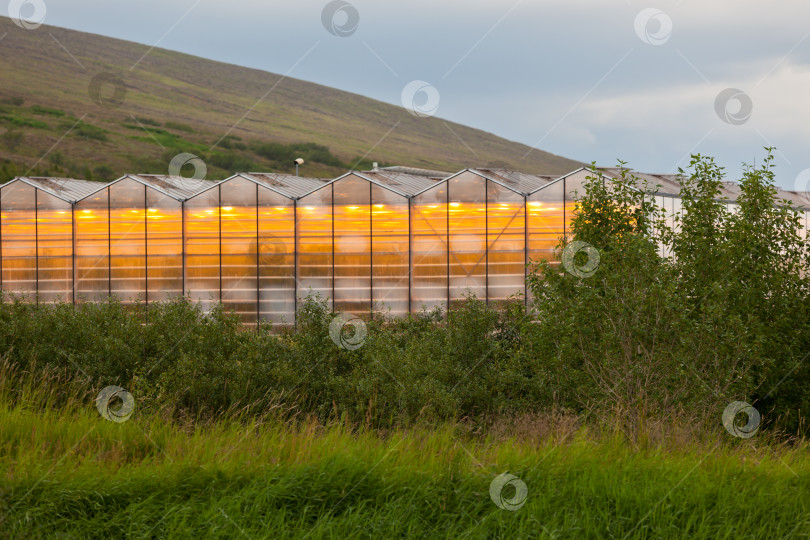 Скачать Геотермальные теплицы в Исландии фотосток Ozero