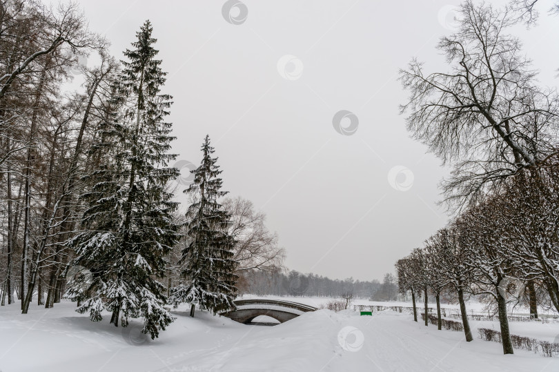 Скачать Зимний парк, каменный мост и деревья в снегу фотосток Ozero