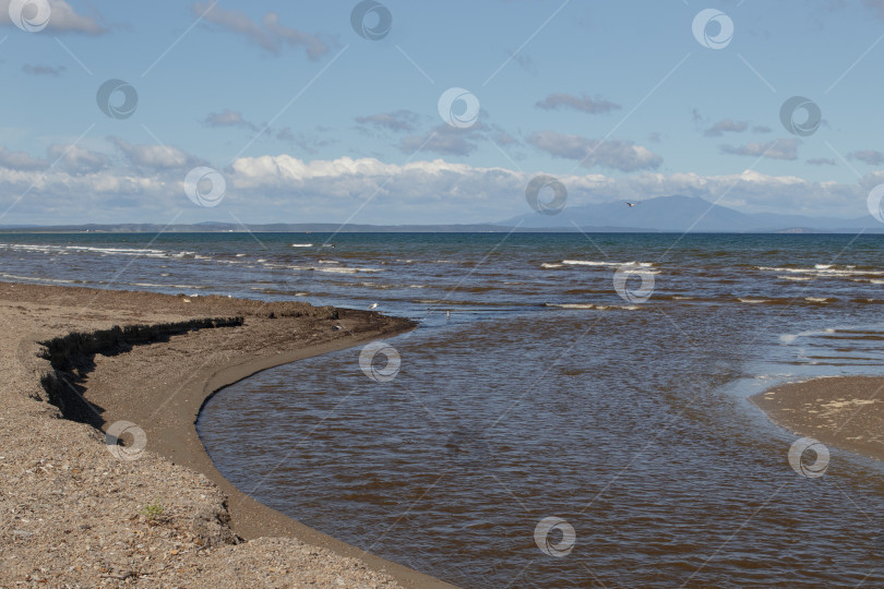 Скачать Побережье Мордвиновского залива Охотского моря, остров Сахалин фотосток Ozero