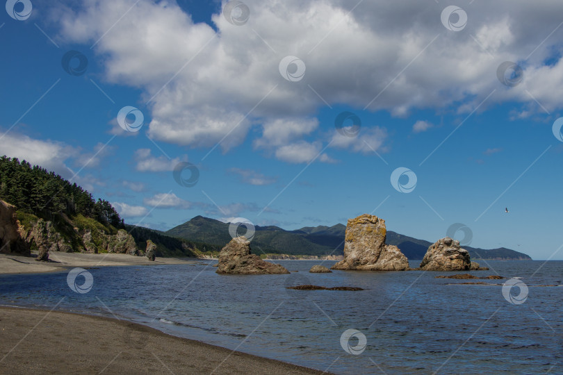 Скачать Охотское море. Мыс Великан, остров Сахалин, Россия фотосток Ozero