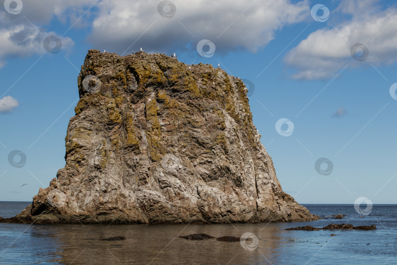 Скачать Красивое скальное образование мыс Великан, остров Сахалин, Россия. фотосток Ozero