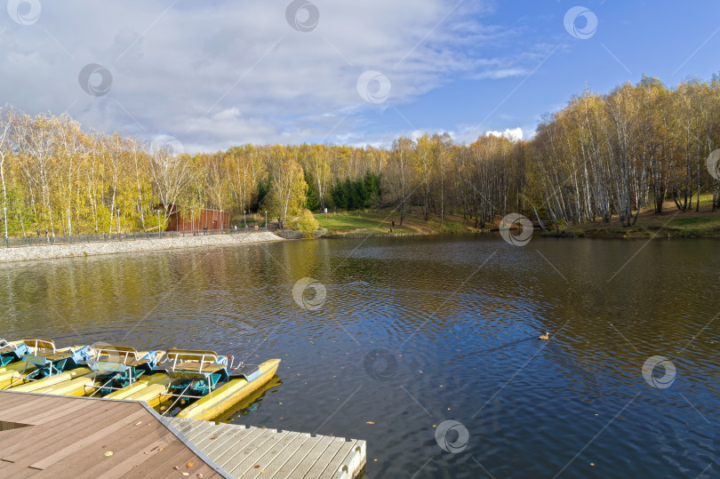 Скачать Пруд в лесопарке в конце октября. фотосток Ozero