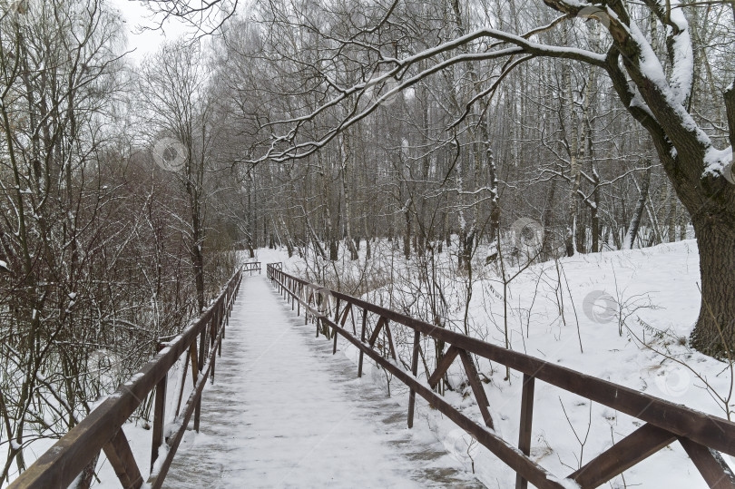 Скачать Зимний пейзаж с пешеходным мостиком на дне оврага. фотосток Ozero