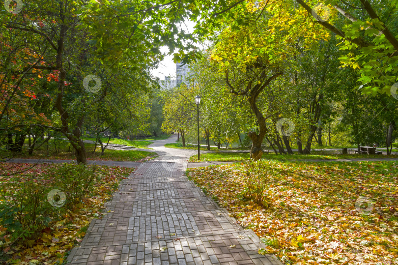 Скачать Дорожка в парке. Начало октября. фотосток Ozero