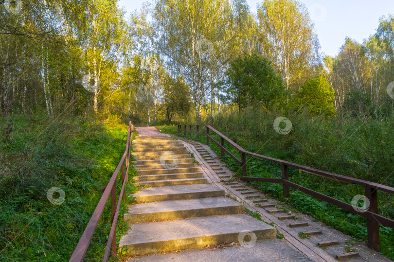 Скачать Благоустроенная пешеходная дорожка в лесопарке. фотосток Ozero