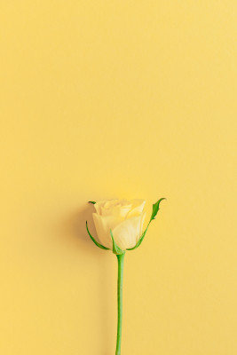 [object Object] undefined
