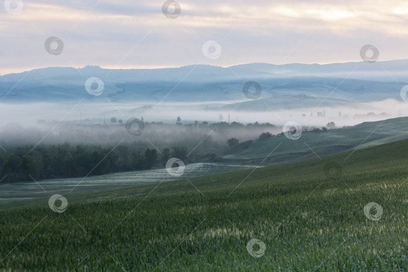Скачать Вид из утреннего тумана на сельскохозяйственные угодья фотосток Ozero