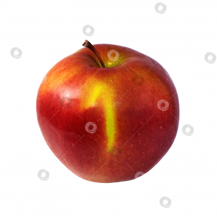 Скачать Макросъемка красного яблока, фрукт номер один, выделенный на белом фоне фотосток Ozero