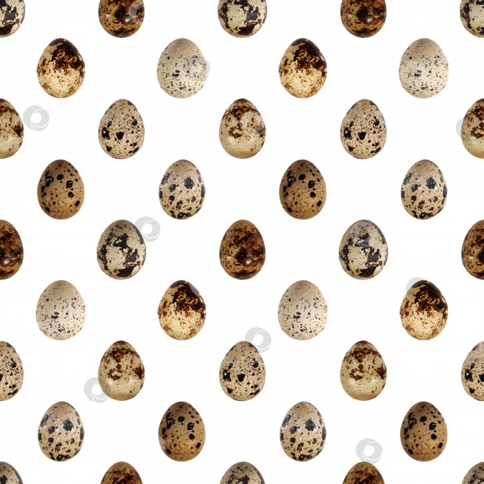 Скачать Перепелиные яйца птичий корм кухня фото бесшовный узор текстурный фон фотосток Ozero