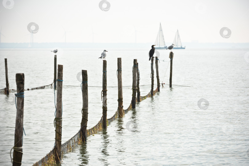 Скачать Пейзаж Северного моря фотосток Ozero