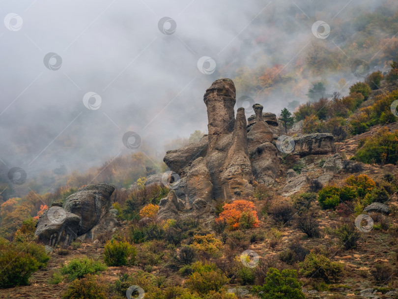 Скачать Туманный и дождливый вид на гору. фотосток Ozero