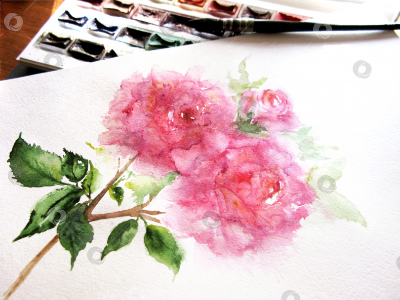 Скачать Акварель розовый цветок пион роза цветочная композиция растительная палитра красок кисть кисть для ручного творчества рисунок фото фотосток Ozero