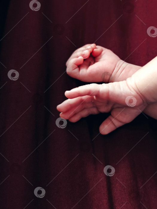 Скачать Маленькие ручки новорожденного ребенка на фоне красно-бордовой текстильной ткани симпатичная эстетичная фотография фотосток Ozero