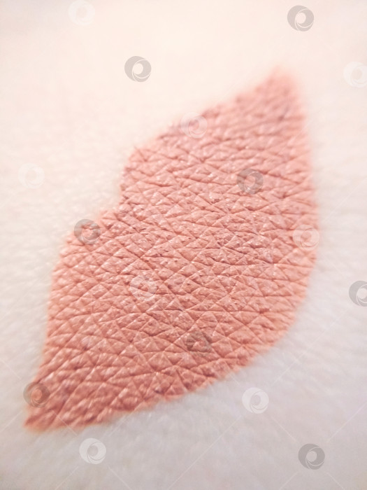 Скачать Макросъемка губ арт матовая розовая помада косметический макияж кожи фотосток Ozero