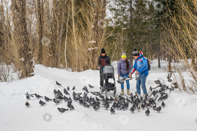 Скачать Двое парней и девушка в джинсах и куртках, с детской коляской, кормят голубей на заснеженной аллее городского парка зимой фотосток Ozero