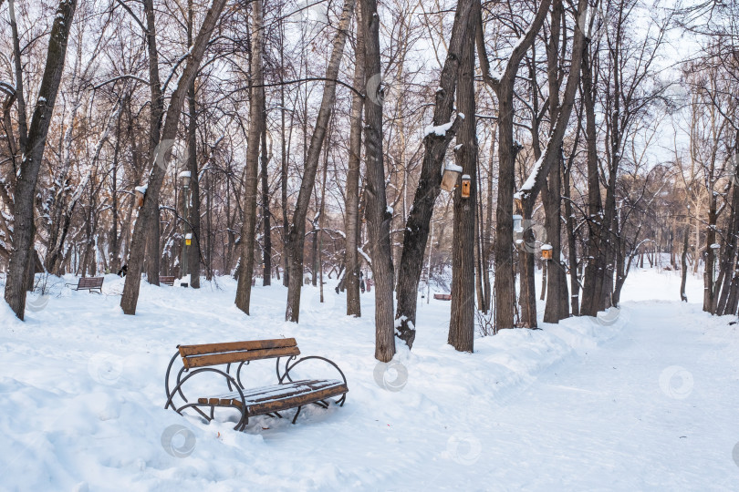 Скачать Зимний городской пейзаж. Деревянная коричневая скамейка на аллее заснеженного старого парка. фотосток Ozero