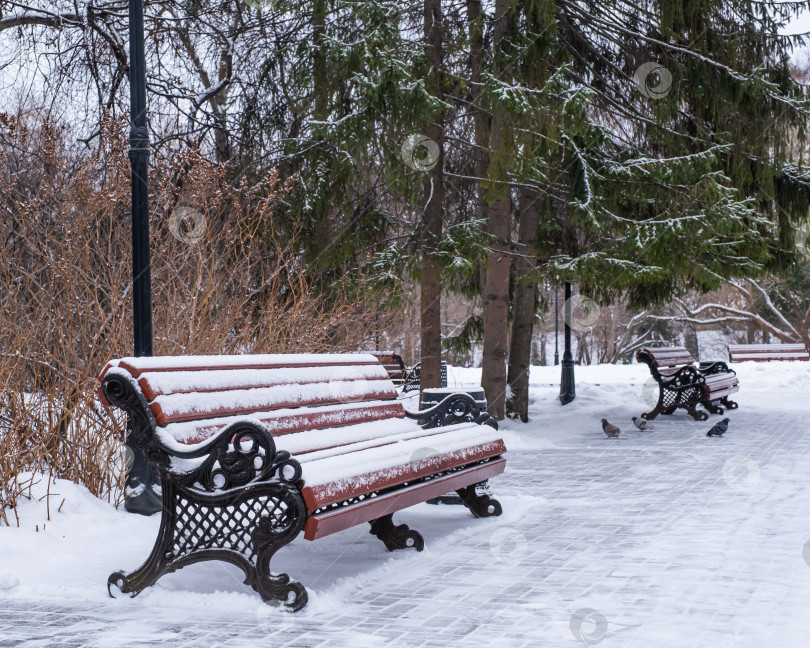 Скачать Красная скамейка, покрытая снегом, в зимнем городском парке. фотосток Ozero