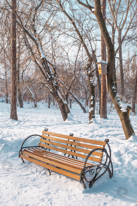 Скачать Зимний городской пейзаж. Деревянная коричневая скамейка в заснеженном парке. фотосток Ozero