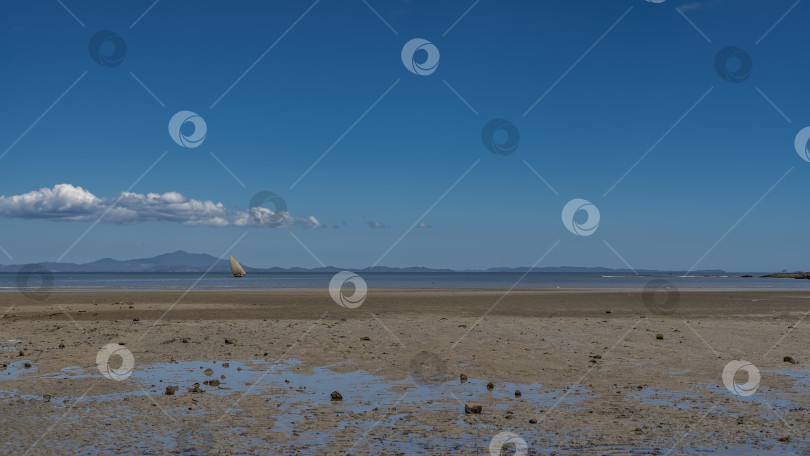 Скачать Отлив в океане. Лужицы воды на обнажившемся песчаном дне. фотосток Ozero