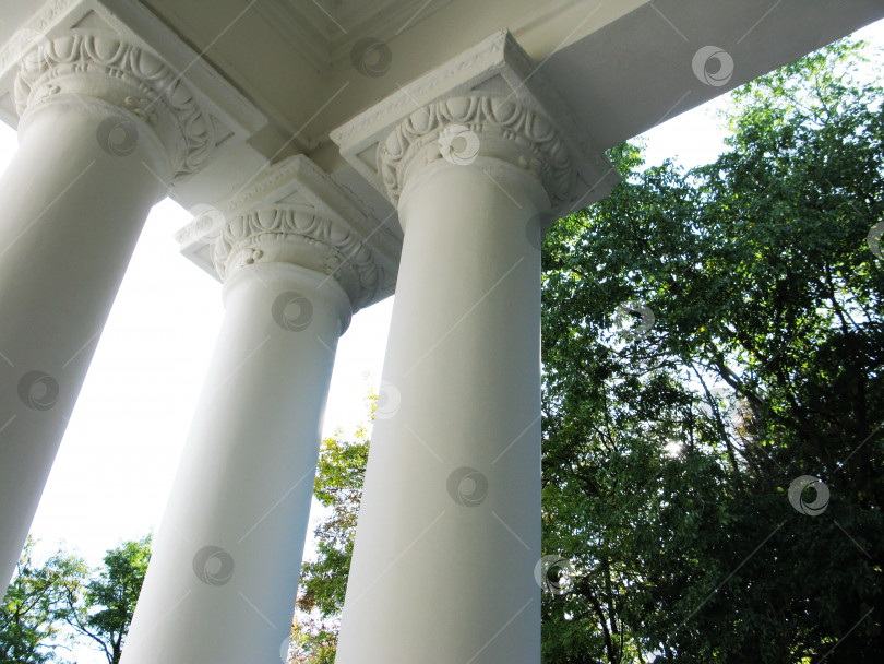 Скачать Белые колонны древней архитектуры здания фото фотосток Ozero