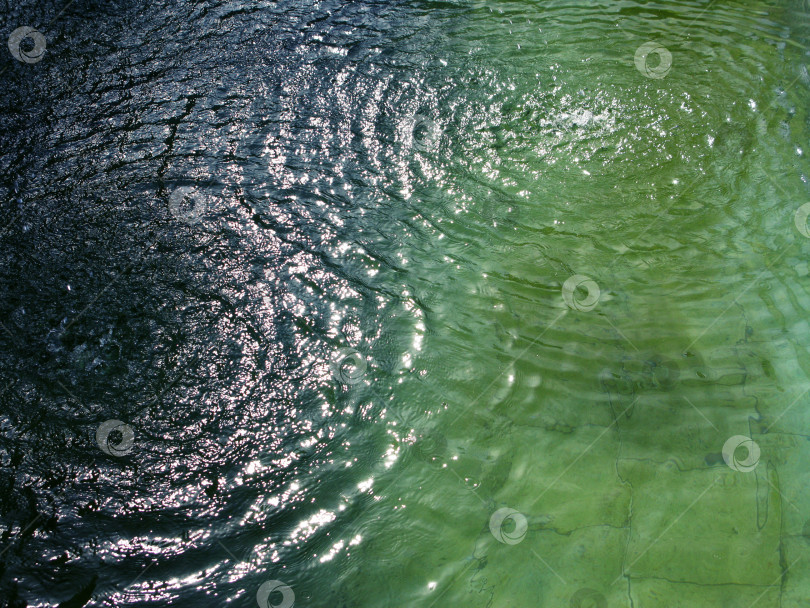 Скачать Круги на зеленом глубоководном фонтане фото фотосток Ozero