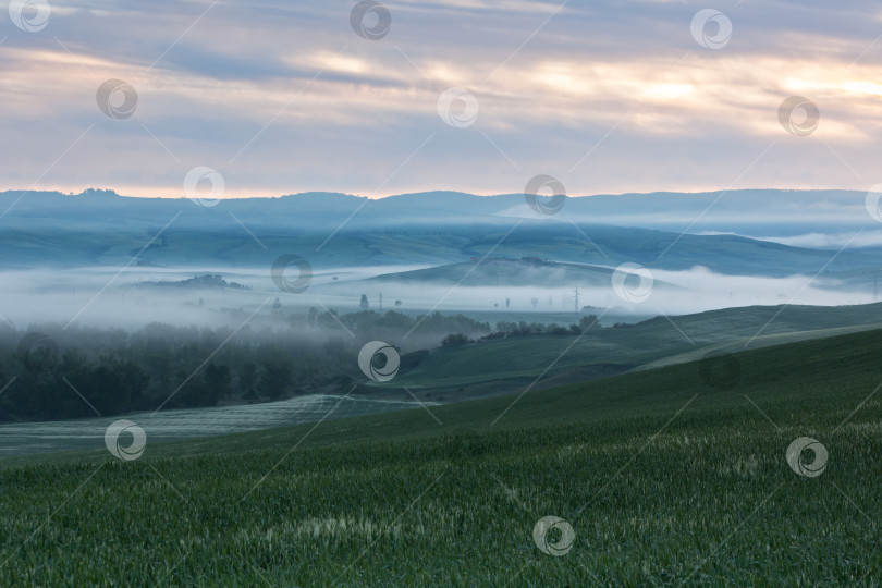 Скачать Тоскана на рассвете фотосток Ozero
