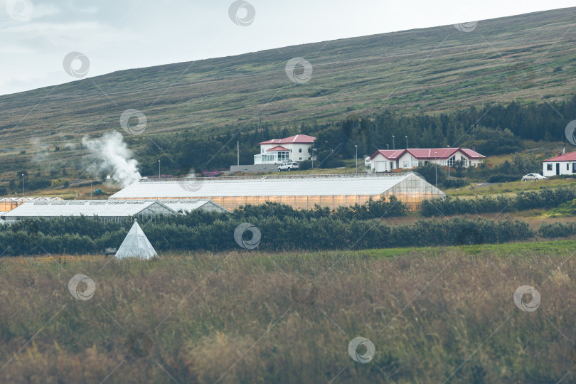 Скачать Геотермальные теплицы в Исландии фотосток Ozero