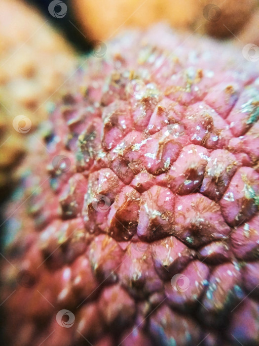 Скачать Макросъемка личи личи драконий глаз тропические экзотические фрукты размытая расфокусированная текстура фона фотосток Ozero