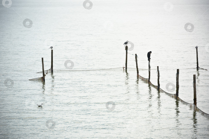 Скачать Пейзаж Северного моря фотосток Ozero