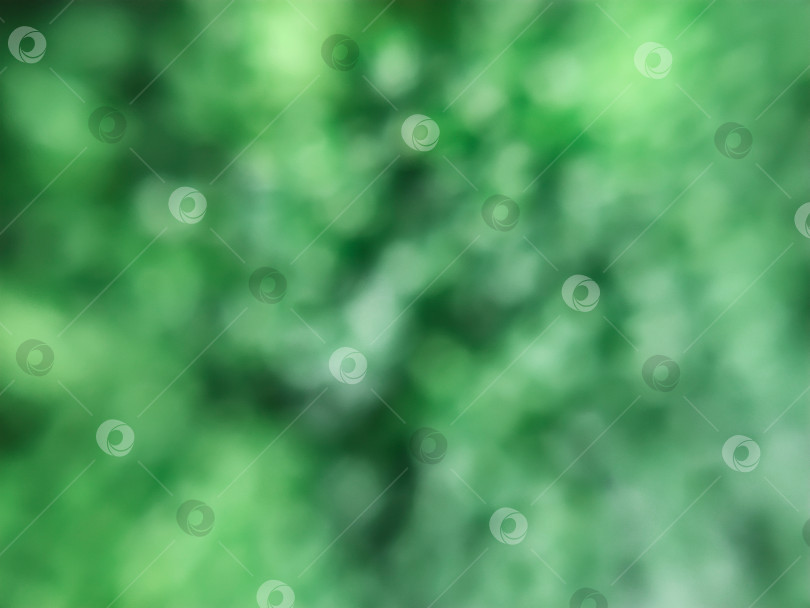 Скачать Зеленая абстрактная фотография с несфокусированной размытой текстурой фона фотосток Ozero