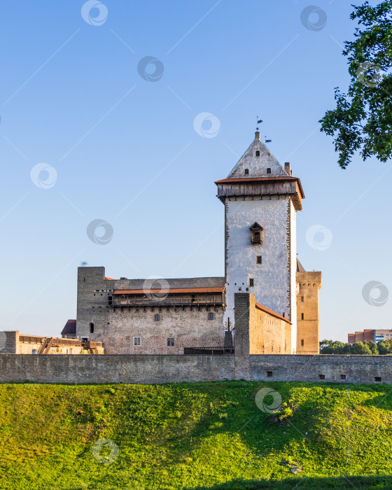 Скачать Башня Германа в Нарвской рыцарской крепости, Эстония. фотосток Ozero