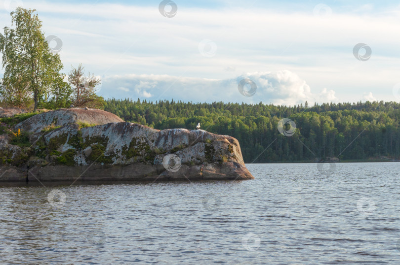 Скачать Карельский пейзаж  фотосток Ozero