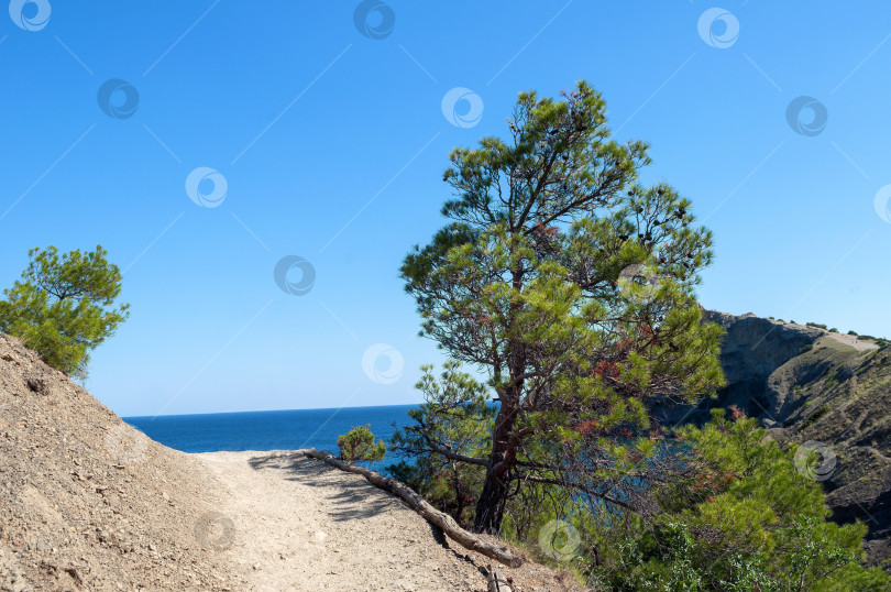 Скачать Древняя Галицынская тропа  фотосток Ozero