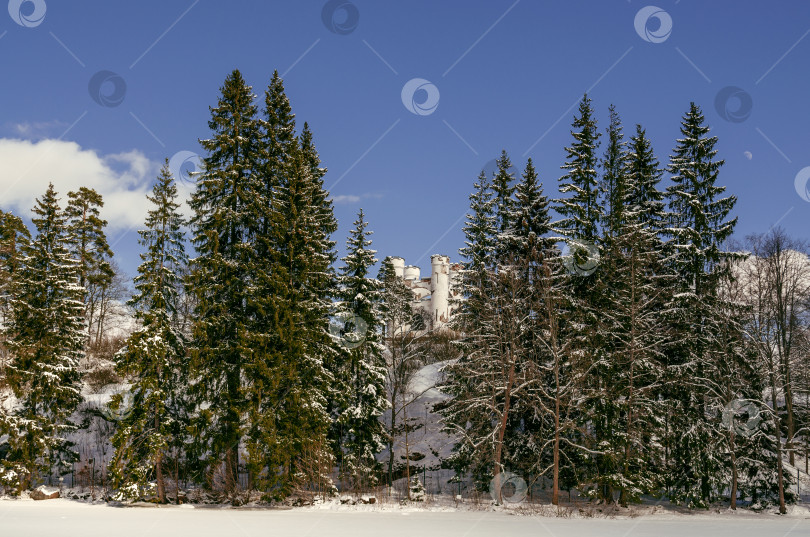 Скачать Вид на Остров мертвых фотосток Ozero