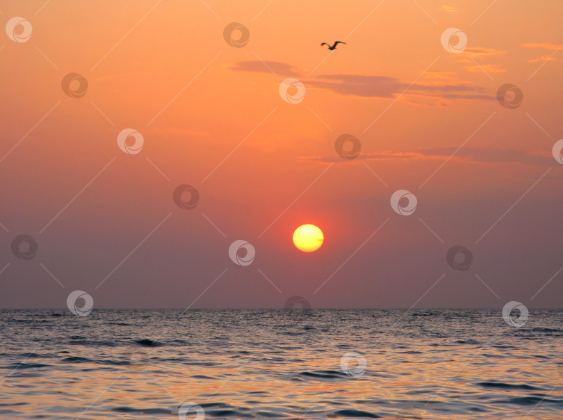 Скачать Фантастическое оранжевое море океан закат горизонт небо фото фотосток Ozero