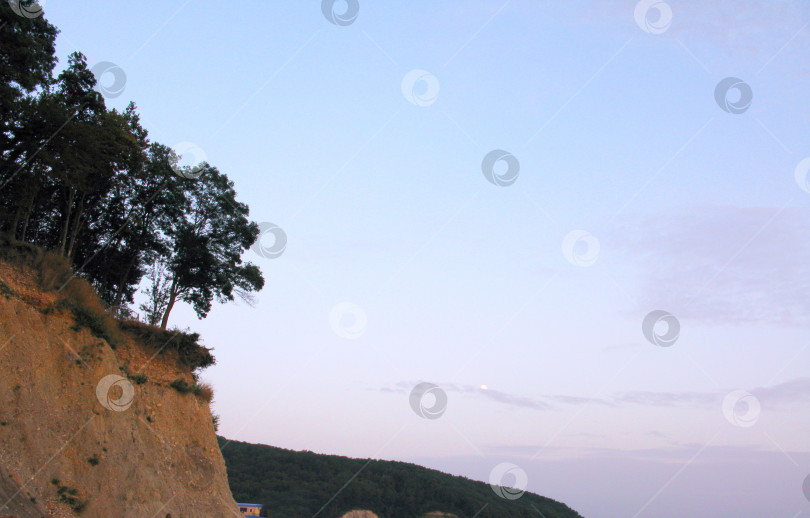Скачать Природа дерево холм гора небо пейзаж фото фотосток Ozero