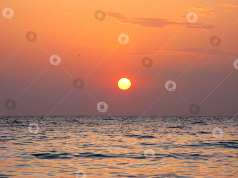 Скачать Фантастическое оранжевое море океан закат горизонт небо фото фотосток Ozero