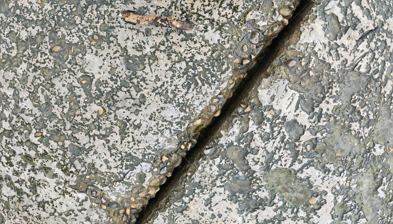 Скачать Бетон цементный камень с мокрой текстурой узора фоновое фото фотосток Ozero
