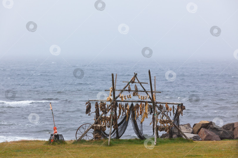 Скачать Стеллаж для сушки рыбы в Исландии фотосток Ozero