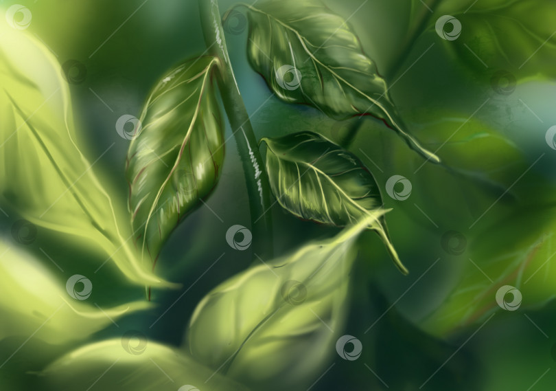 Скачать Красивый 3D зеленый лист ветка растения дерево куст обои фон компьютерная графика цифровое акварельное искусство фотосток Ozero