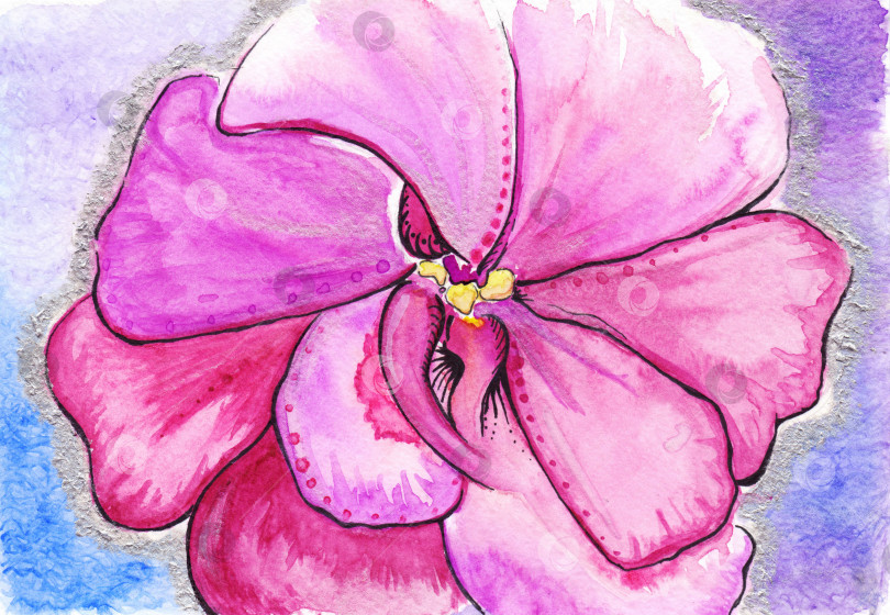 Скачать Акварельный розовый малиновый абстрактный цветок романтический любовный фон фотосток Ozero