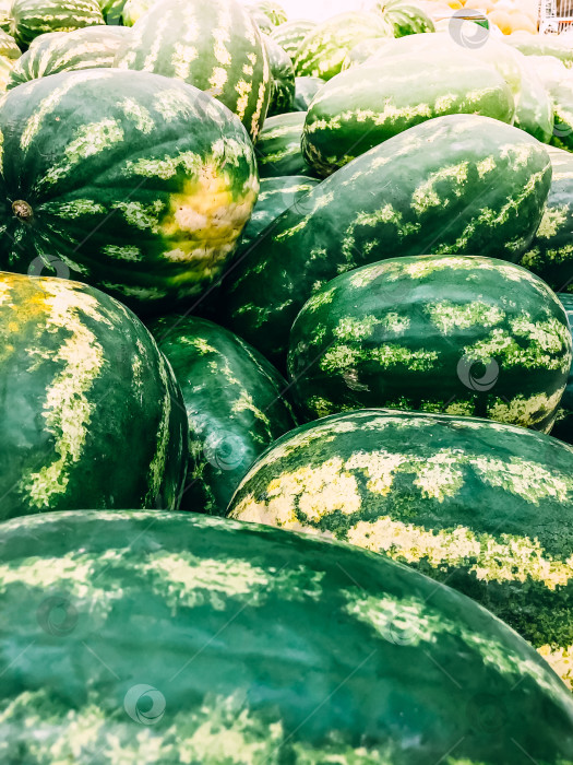 Скачать В супермаркете продают свежие арбузы фотосток Ozero