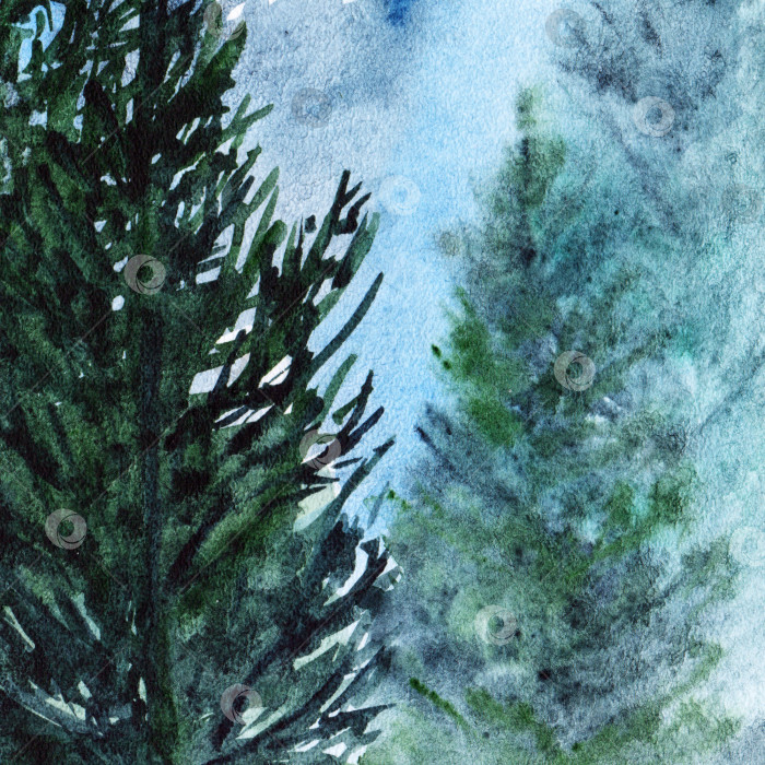 Скачать Акварель бирюзовый зимний лес сосновый пейзаж фотосток Ozero