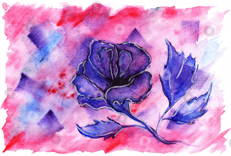 Скачать Акварель фиолетовый малиновый цветок роза романтический любовный фон фотосток Ozero